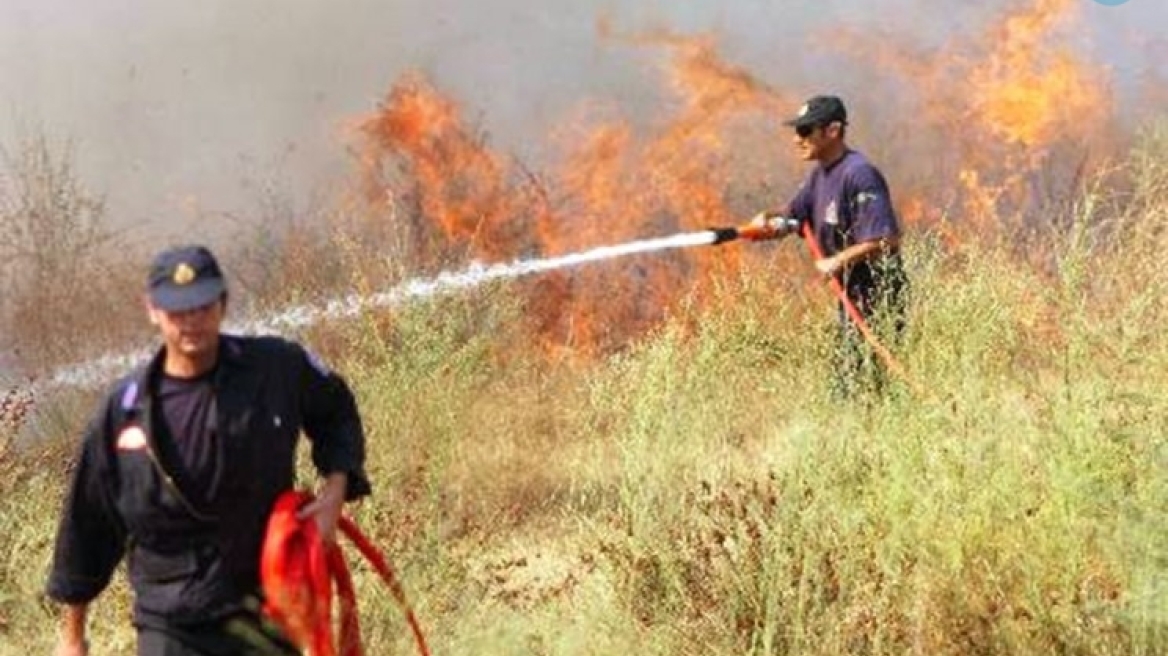 Σε ύφεση η φωτιά στην Ρόδο - Κατέκαψε 140 στρέματα δάσους