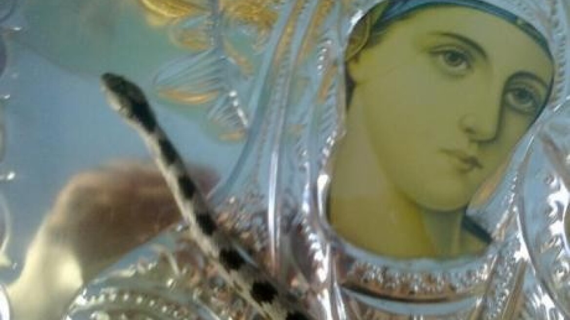 Κεφαλονιά: Πού πήγαν και δεν έχουν εμφανιστεί φέτος τα «φιδάκια της Παναγίας»;