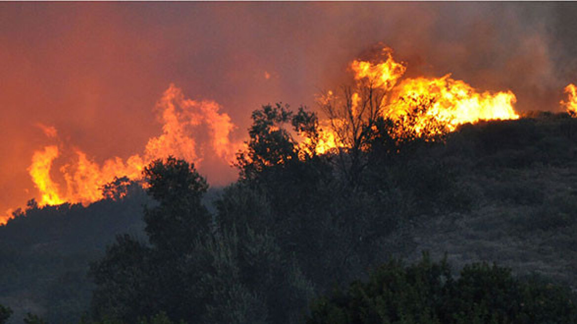 Πυρκαγιά στο Γερακάρι Ρεθύμνου