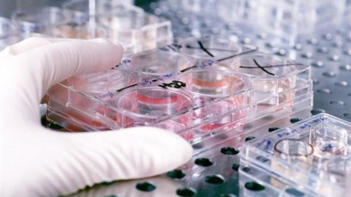 Σκόπια: Στους πέντε οι νεκροί από το βακτήριο της λιστέρια	