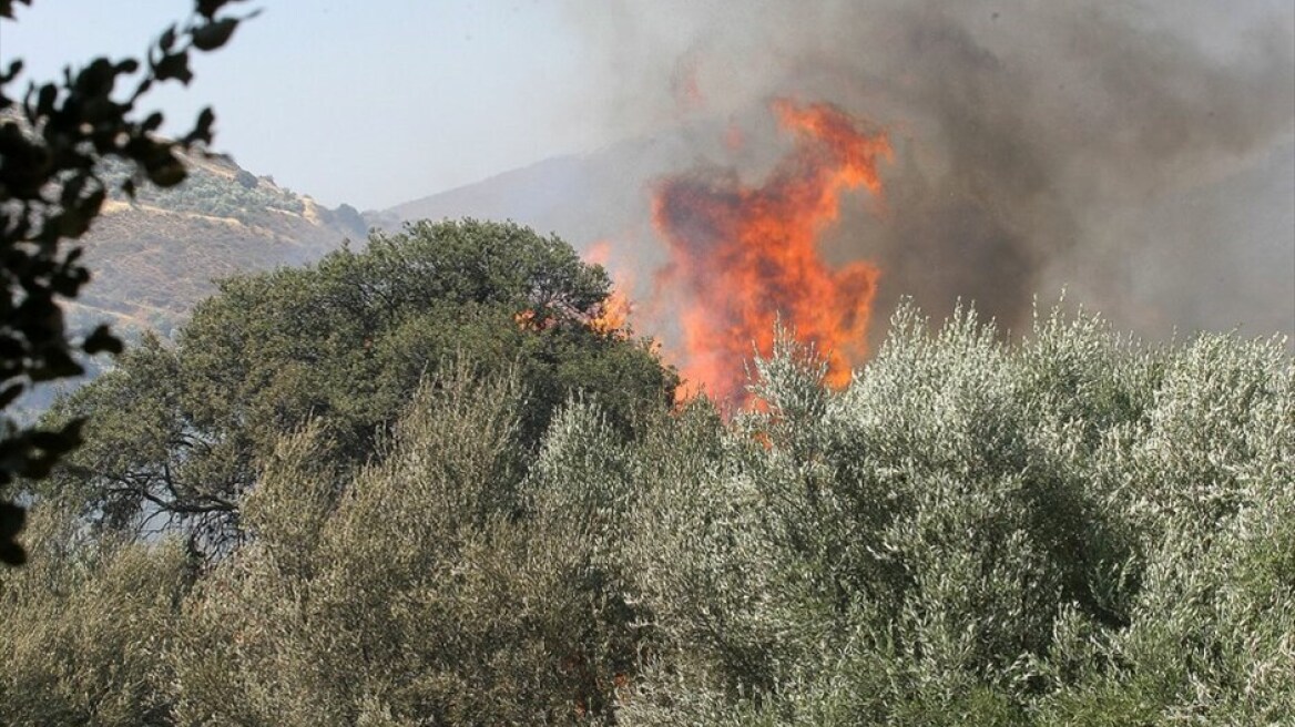 Πυρκαγιά στο Ηράκλειο Κρήτης 
