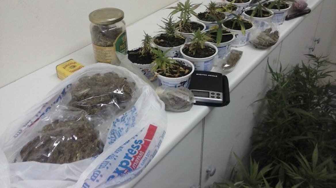 Κέρκυρα: Ηλικιωμένος καλλιεργητής είχε μεγάλη ποσότητα χασίς