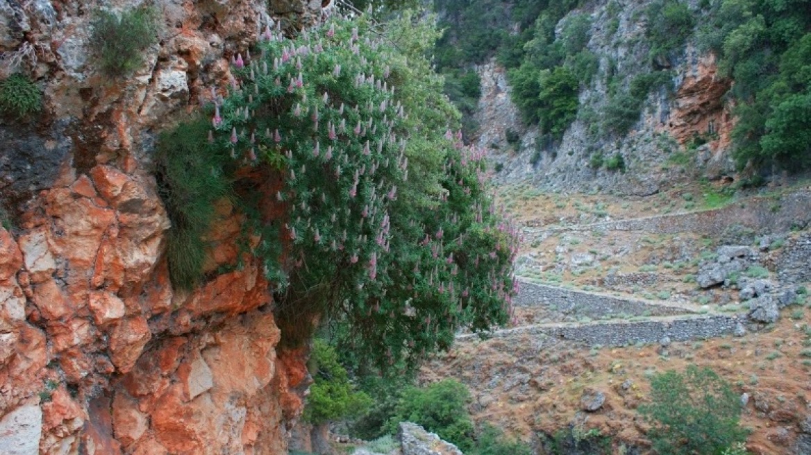 Σφακιά: Συνεχίζονται οι έρευνες για τον Γάλλο τουρίστα 