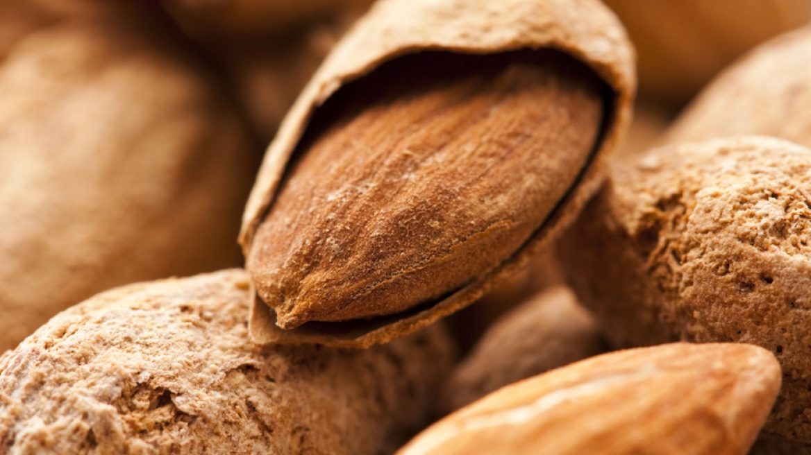 Μαγνησία: Αρπαξαν 300 κιλά αμύγδαλα από το κτήμα παραγωγού