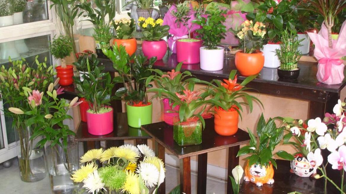 Lockdown - Κραυγή αγωνίας από τους ανθοπώλες για τον Άγιο Βαλεντίνο: «Είναι το τελευταίο μας χαρτί!»