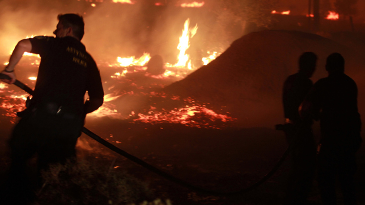 Ωρωπός: Εργοστάσιο ξυλείας παραδόθηκε στις φλόγες 