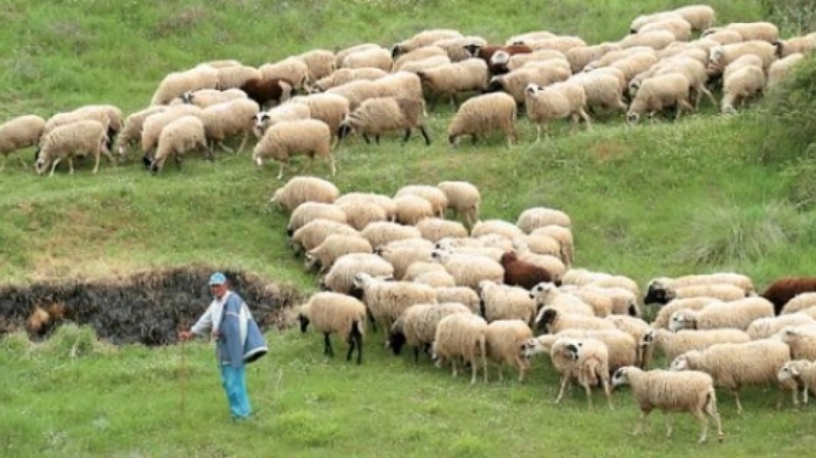 Κουκουλόπουλος: Ο καταρροϊκός πυρετός έχει εξαπλωθεί σε όλη τη χώρα
