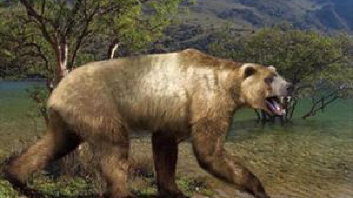 Γιγαντιαία αρκούδα ζούσε στα Γρεβενά πριν από 3 εκατ. χρόνια