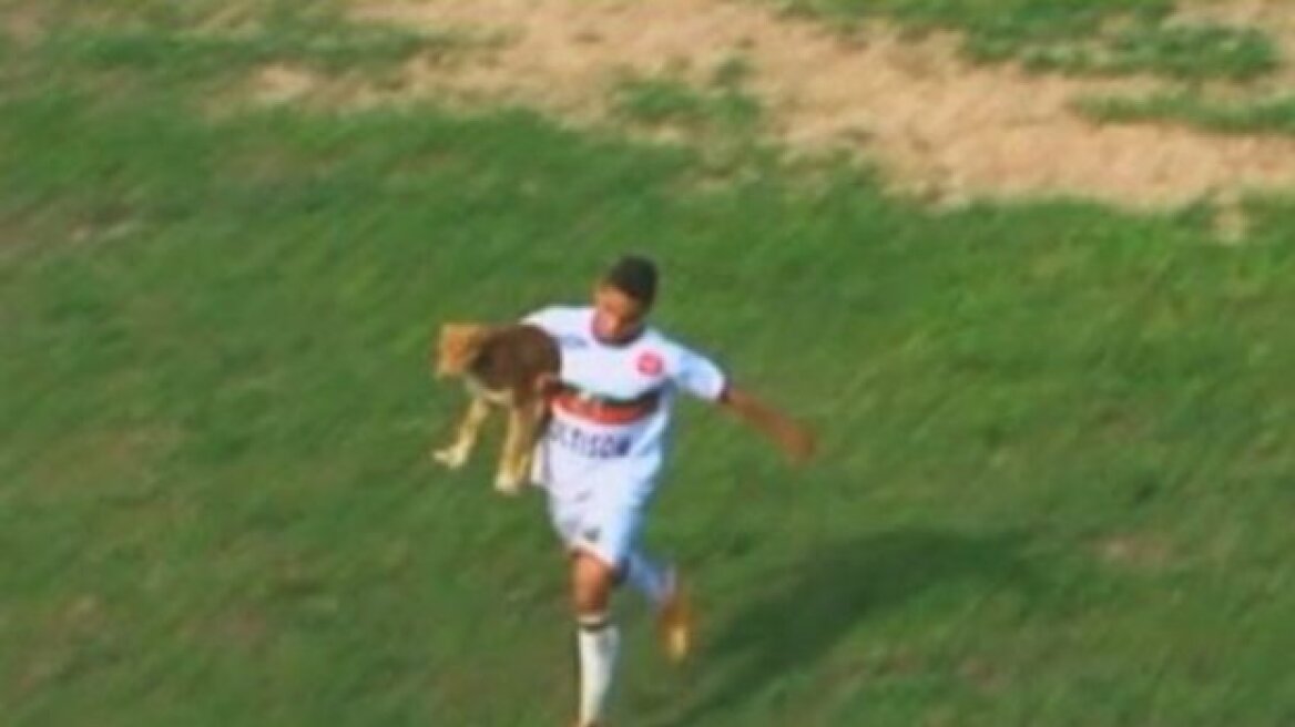 Βίντεο: Tον δάγκωσε σκύλος και σκόραρε!