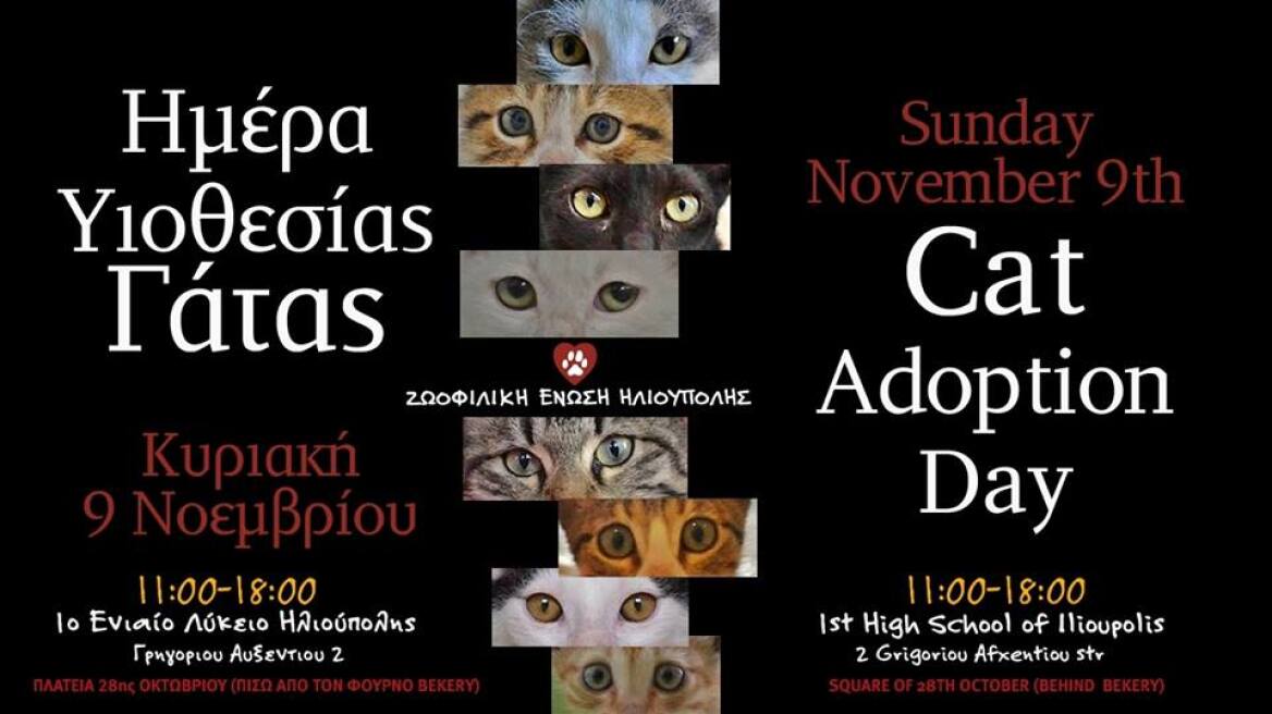 Εκδήλωση της Ζωοφιλικής Ένωσης Ηλιούπολης για τις γάτες