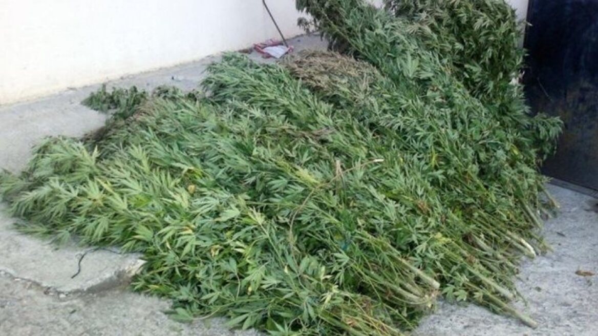 Έθαψε στο έδαφος ενάμισι κιλό χασίς!