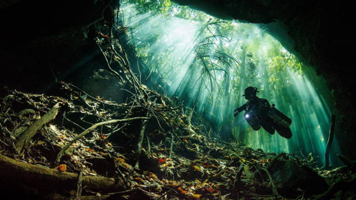 Αυτές είναι οι 10 καλύτερες υποθαλάσσιες φωτογραφίες για το 2014