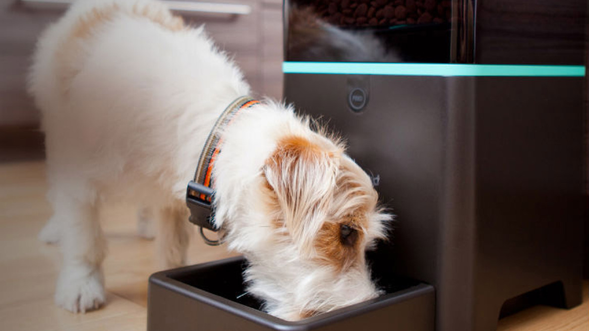 Geek news – November edition