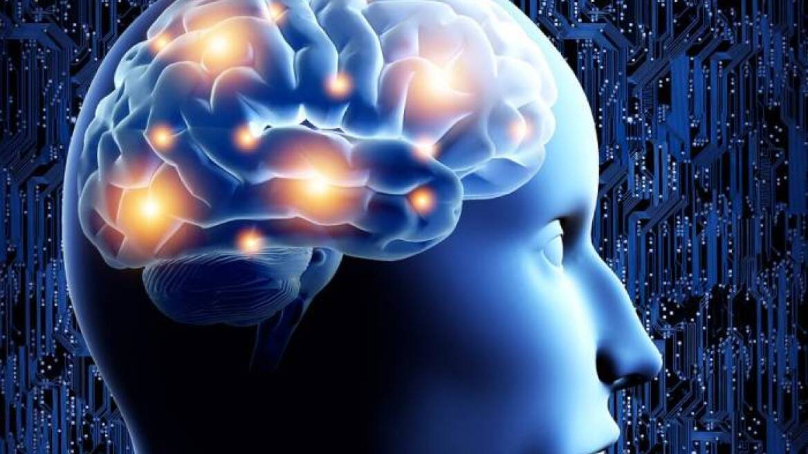 Επιστήμονες αποκατέστησαν εγκεφαλικές βλάβες σε πειραματόζωα