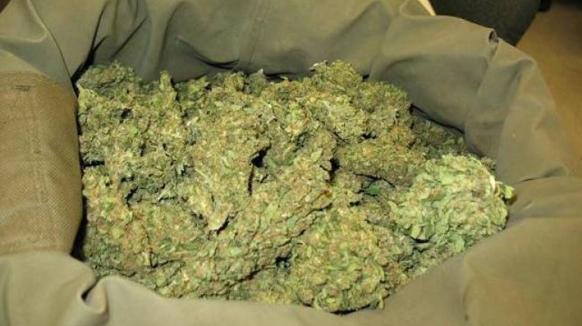 Μεσολόγγι: Ήταν και... ξιφομάχος ο διακινητής κάνναβης!