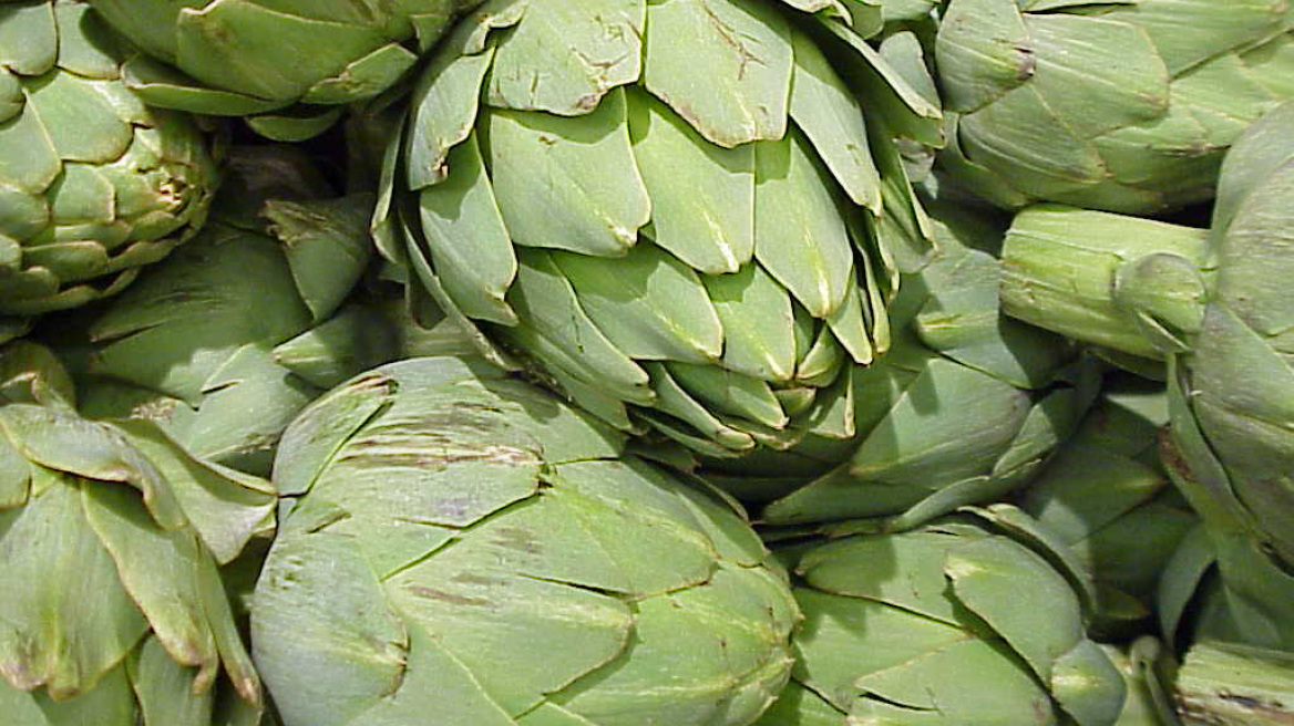 Δολιοφθορά με στόχο τις… αγκινάρες στη Μεσσηνία!