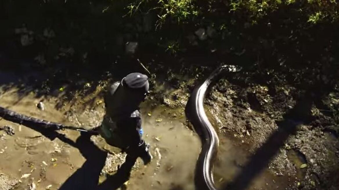 Ο «τρελός» του Discovery περιγράφει: Έτσι ένιωσα όταν με έφαγε το ανακόντα