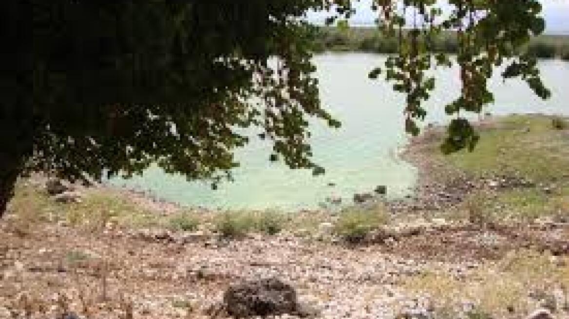 Εικόνες… απείρου κάλλους στις όχθες της Παμβώτιδας