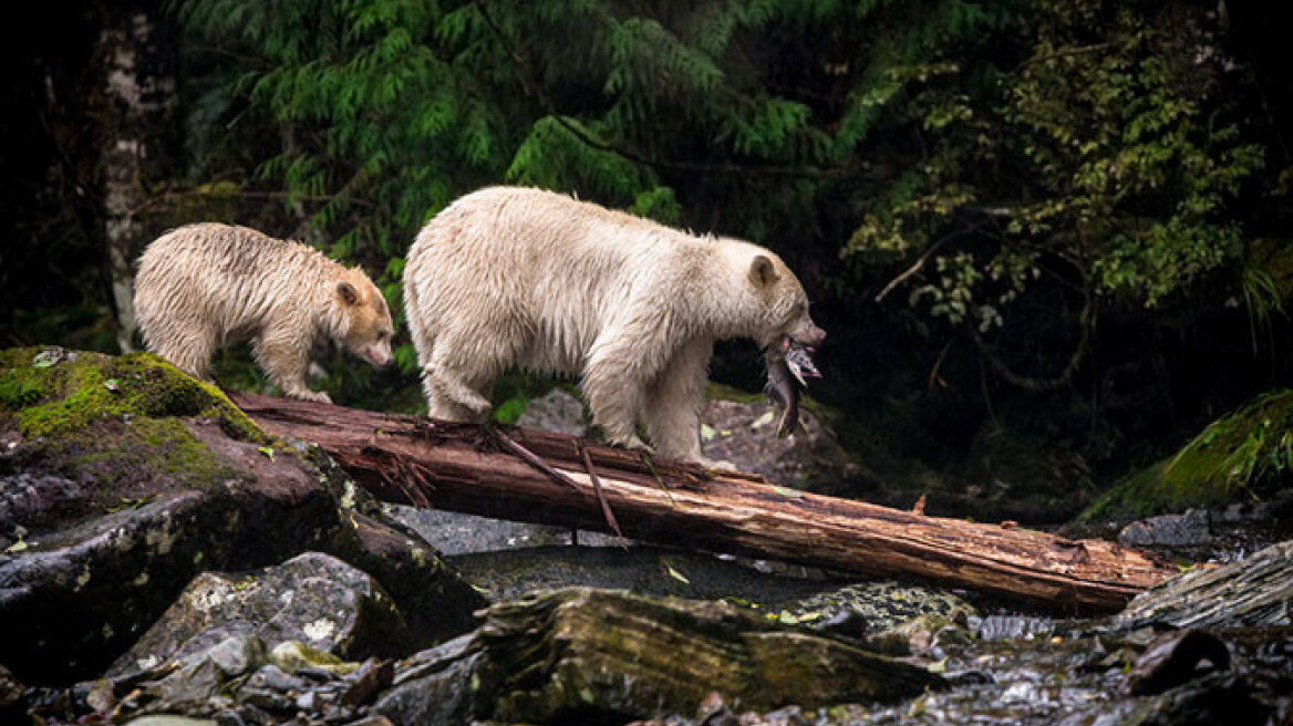 Διαγωνισμός Sony: 15 φωτογραφίες που θα σας μαγέψουν