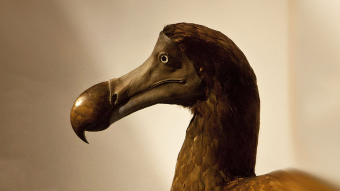 Η «Εξαφάνιση των ειδών» στον Ελληνικό Κόσμο