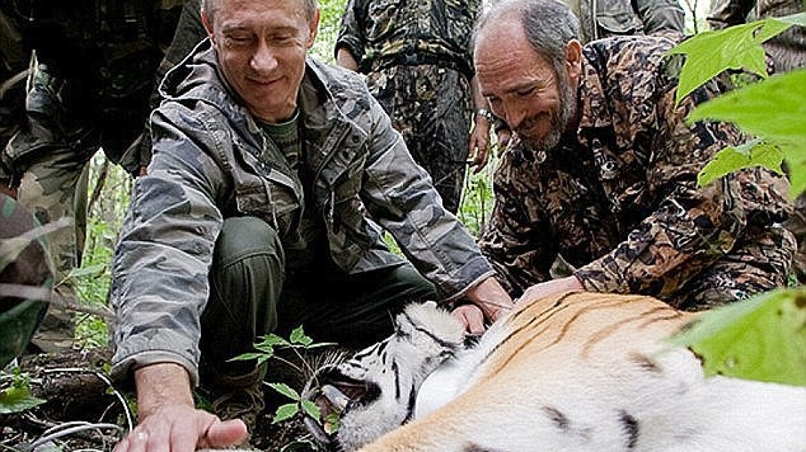 Βίντεο: Η τίγρης του Πούτιν κατασπάραξε σκυλάκι! 