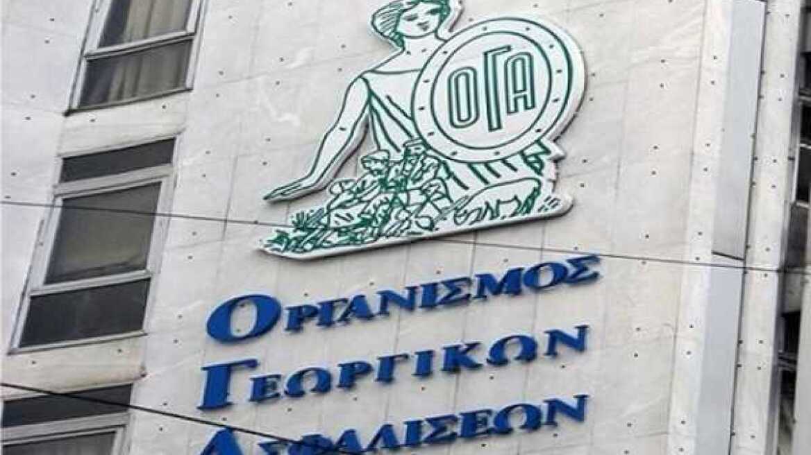 ΟΓΑ: Βοήθημα 1.000 ευρώ σε 450 αγρότισσες πολύτεκνες μητέρες