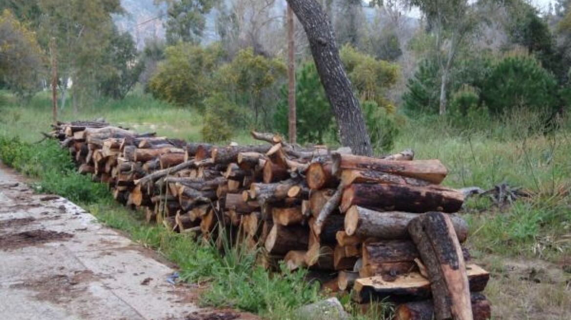 Αγρίνιο: Έκοβε παράνομα ξύλα μέσα στη νύχτα