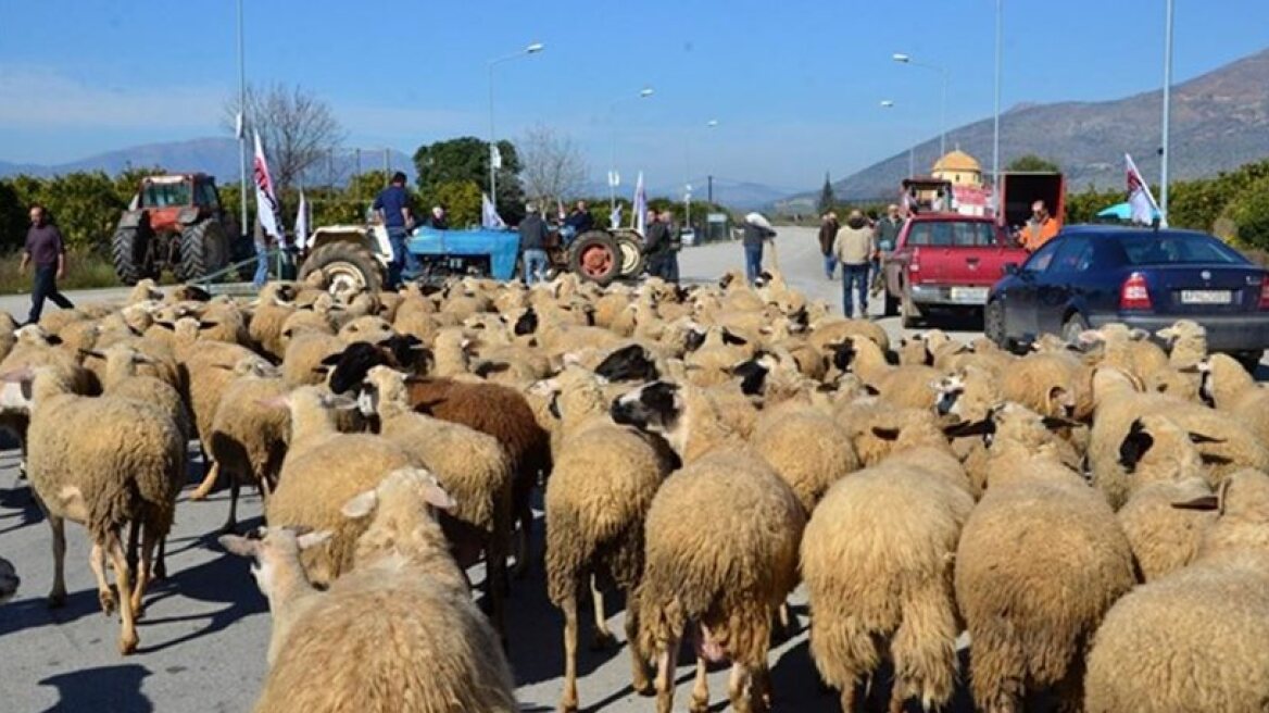 Πανελλαδική κινητοποίηση κτηνοτρόφων την Δευτέρα	