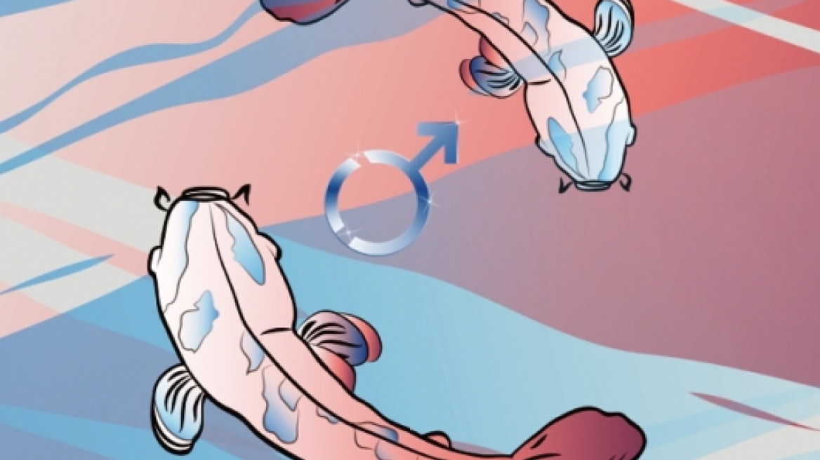 O τρυφερός Άρης στους Ιχθύες και πως θα επηρεάσει το κάθε ζώδιο