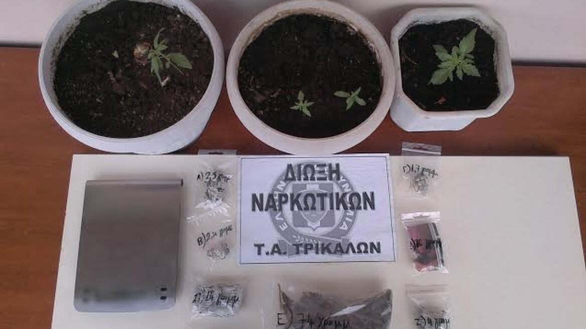 Ζευγάρι καλλιεργούσε και διακινούσε χασίς στα Τρίκαλα