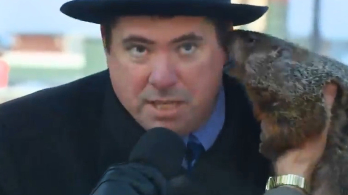 Βίντεο: Μαρμότα δάγκωσε το αυτί δημάρχου στις ΗΠΑ!