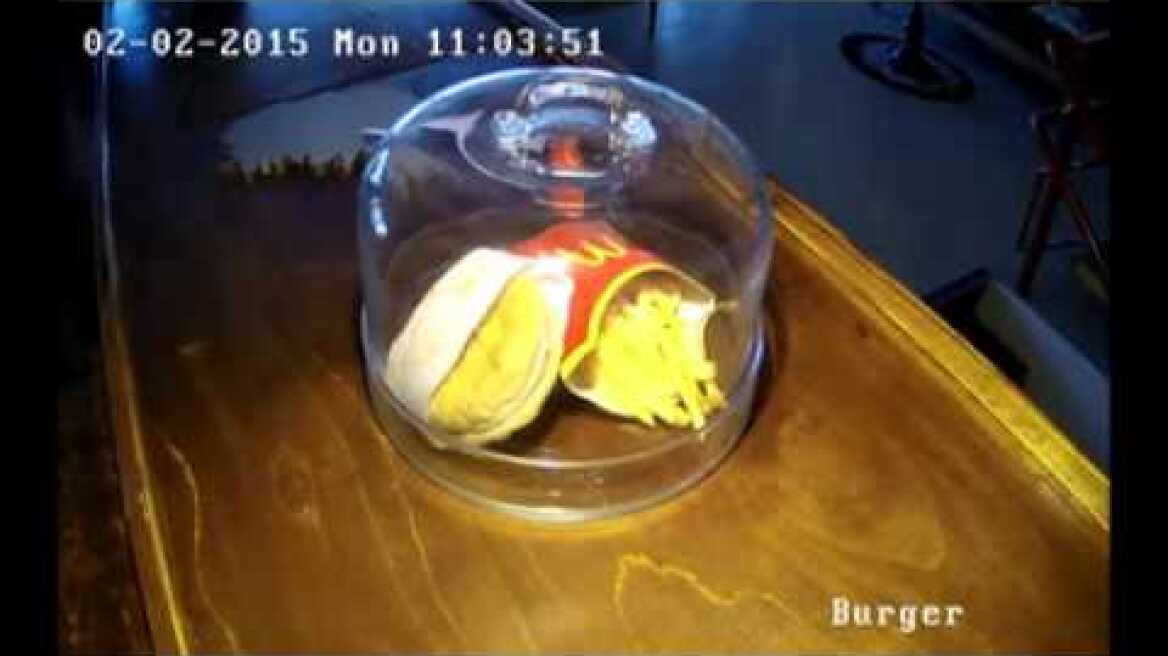 Ισλανδία: Έβαλαν burger των McDonald's σε... μουσείο!