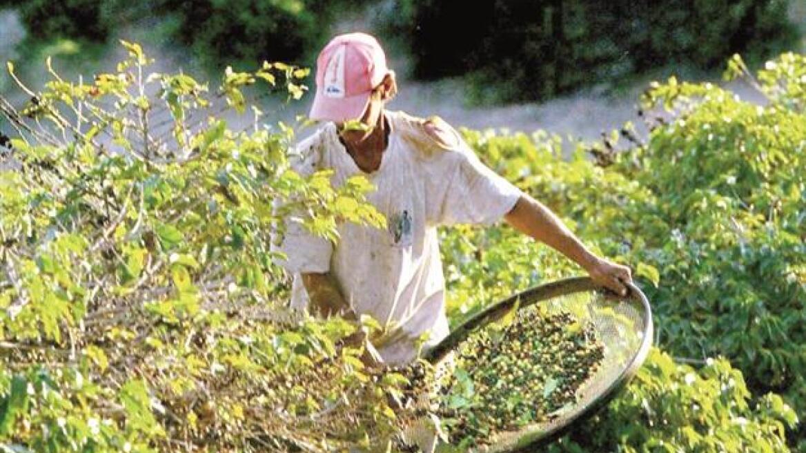 Τουρκία: 57.000 παιδιά εργάζονται πάνω από 40 ώρες την εβδομάδα!