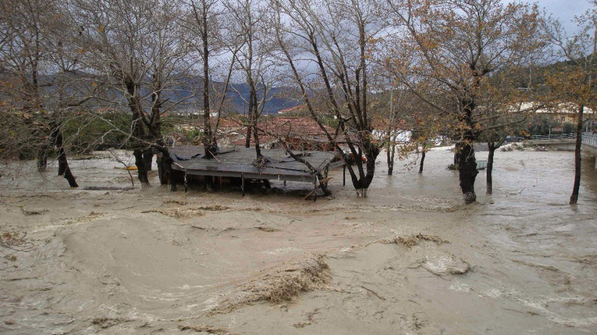 Έως το Πάσχα οι αποζημιώσεις στους κτηνοτρόφους της Άρτας και του Έβρου