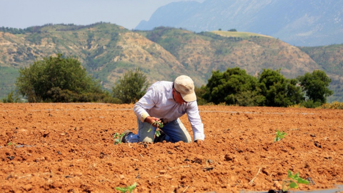 Αλλαγές στο φόρο εισοδήματος και ΦΠΑ των αγροτών