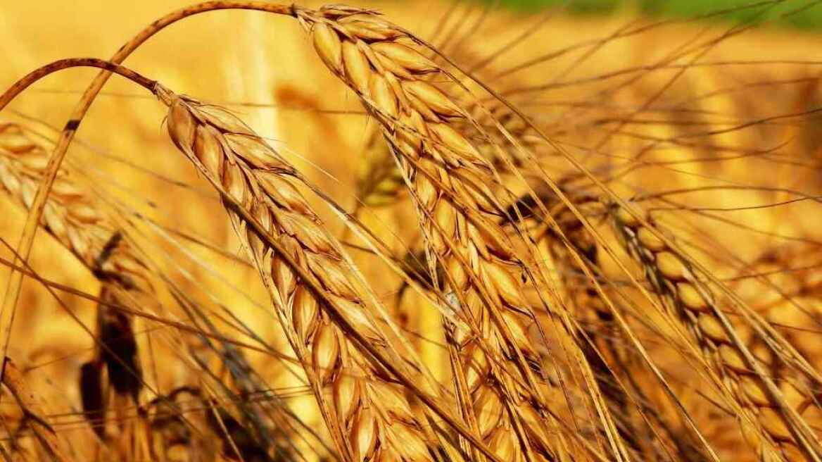 Αναπτυξιακά προγράμματα για τους αγρότες από την «Αποστολή»