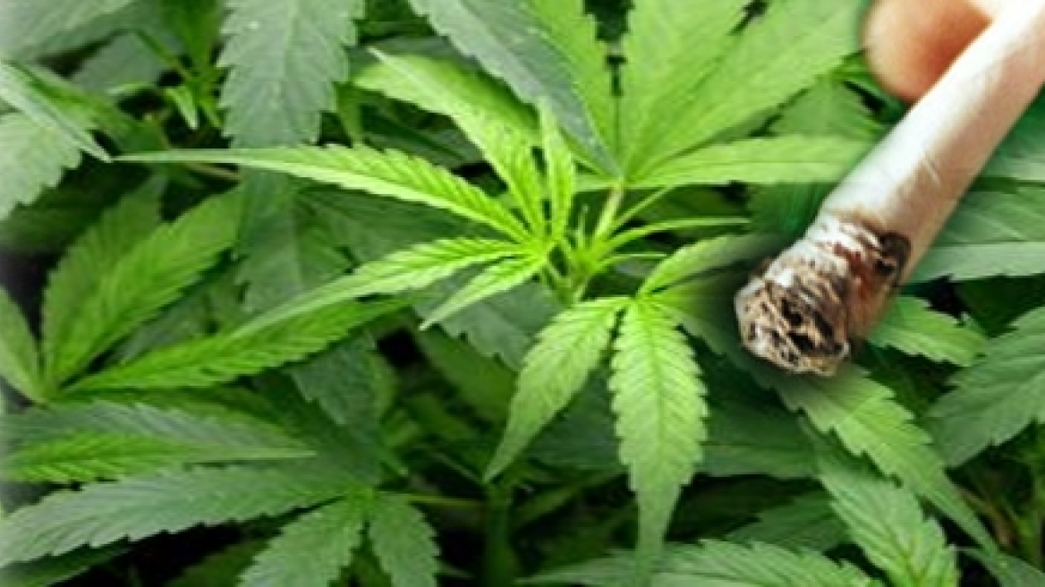 Ηλικιωμένος θα διακινούσε μισό κιλό χασίς!