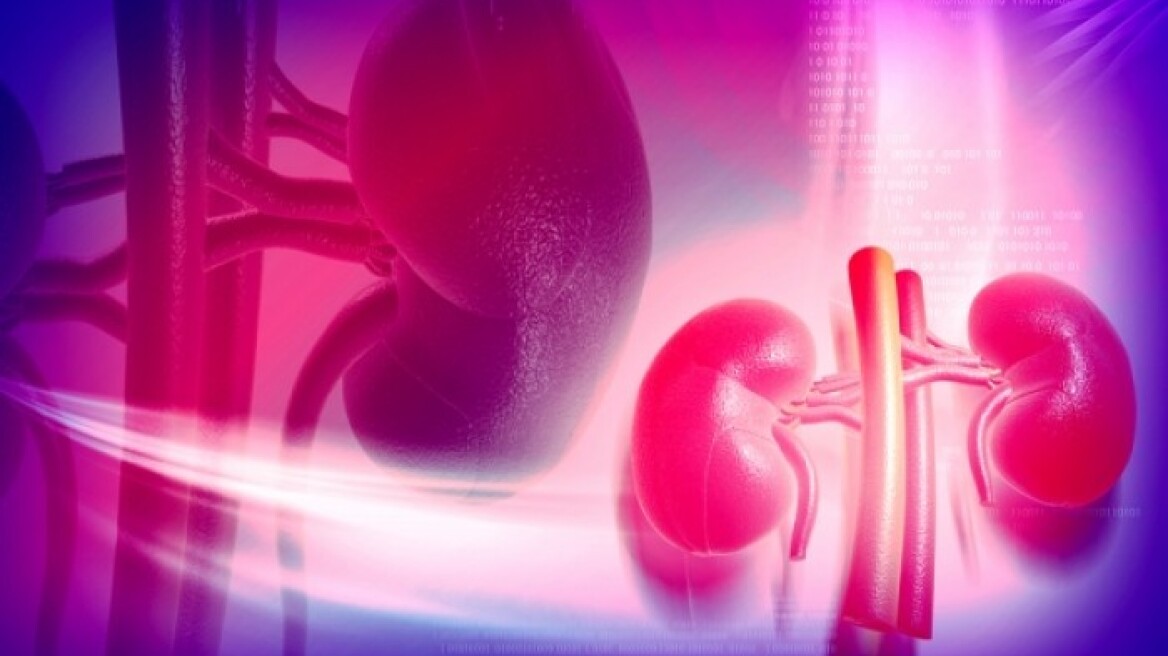 Τεστ αυτοαξιολόγησης για τα νεφρά σας