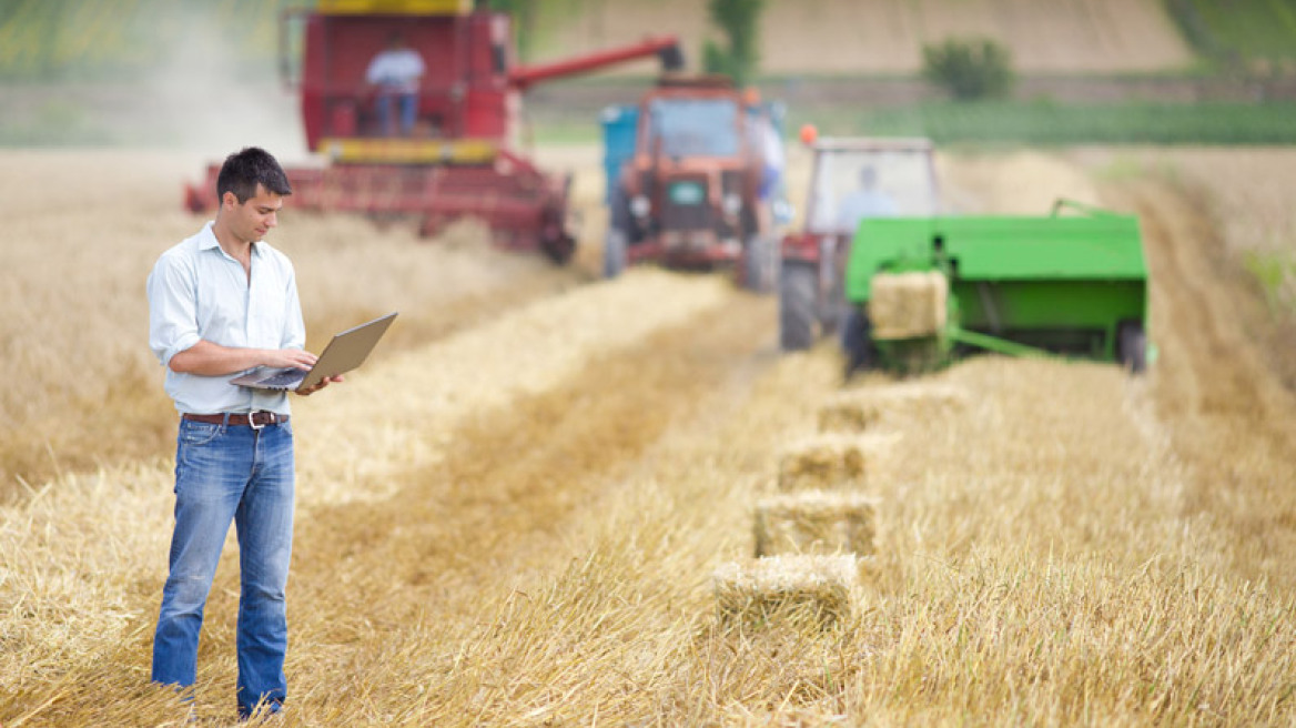 Τα ελληνικά προϊόντα είναι in