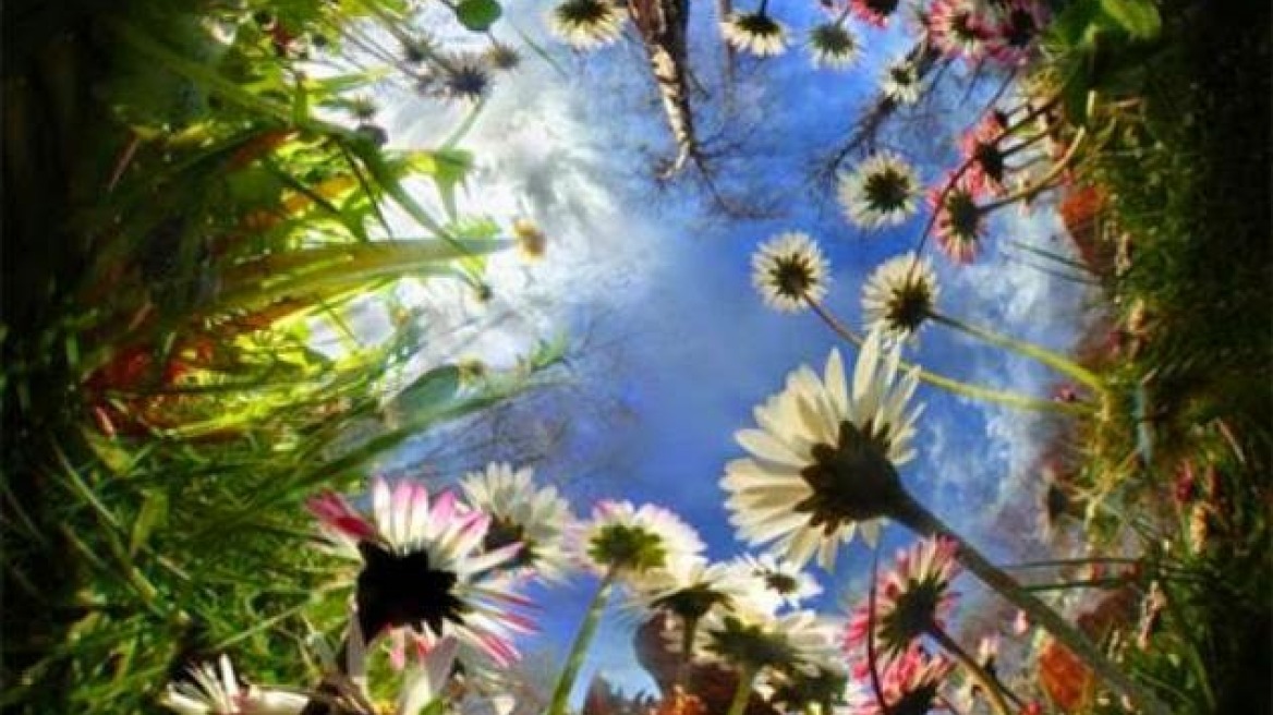 May 1, a double holiday for workers and flowers