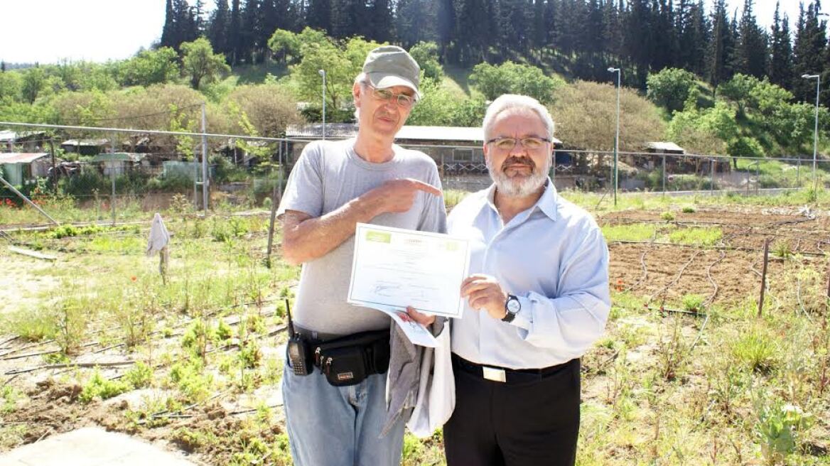 O,τι σπέρνεις, θερίζεις... 59χρονος έβγαλε 400 κιλά ντομάτες από λαχανόκηπο!