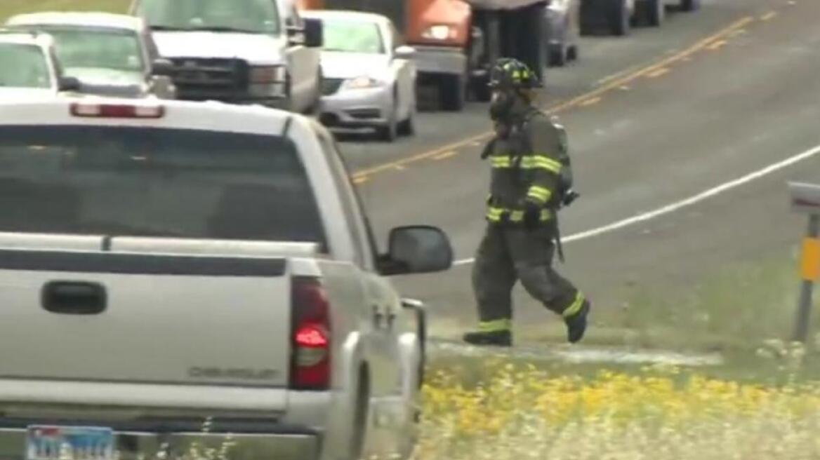 ΗΠΑ: 89χρονος έχασε τη ζωή του από 4.000 τσιμπήματα μελισσών!