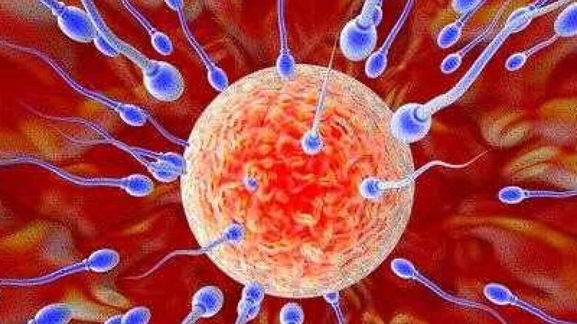 Aνθρώπινα σπερματοζώαρια δημιουργήθηκαν για πρώτη φορά στο εργαστήριο