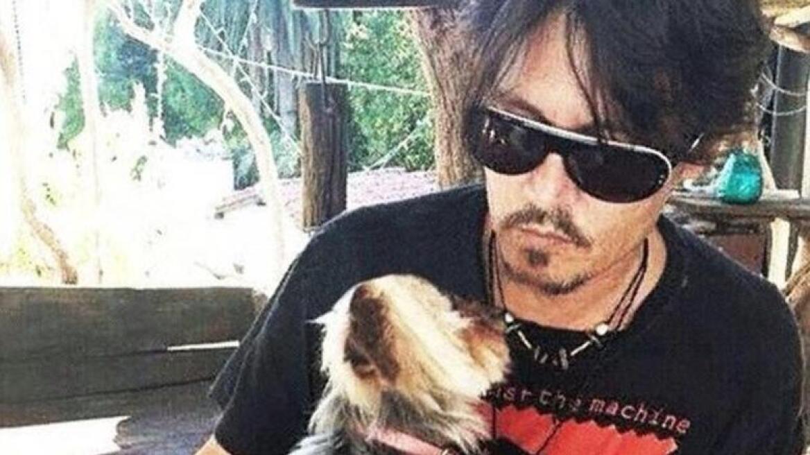 Γιατί τα σκυλιά του Τζόνι Ντεπ κινδυνεύουν με ευθανασία στην Αυστραλία!