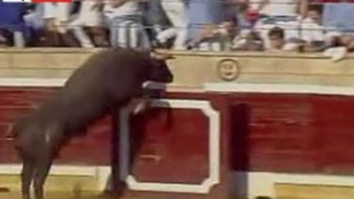 Ισπανία: Ταύρος τραυμάτισε έντεκα ανθρώπους κατά τη μεταφορά του σε αρένα