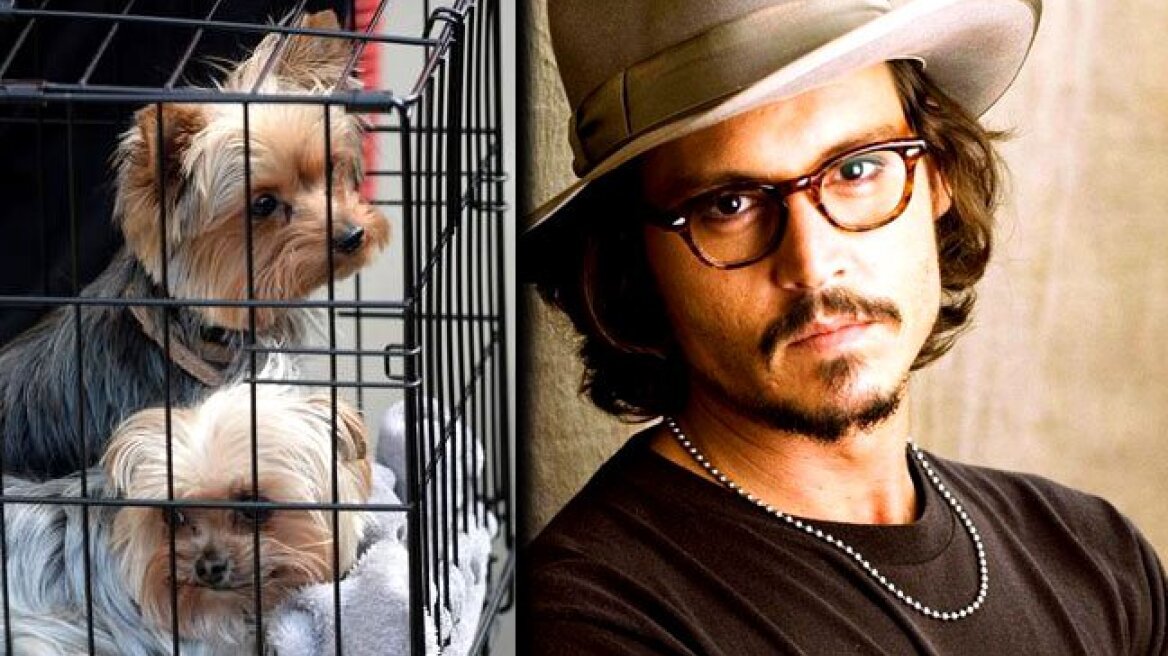 Η Αυστραλία απέλασε τα σκυλιά του Τζόνι Ντεπ!