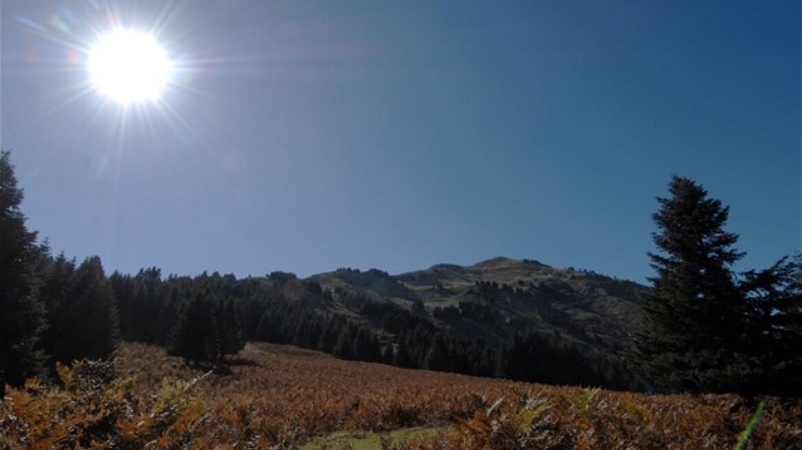 Σε υψηλά επίπεδα και σήμερα η θερμοκρασία 