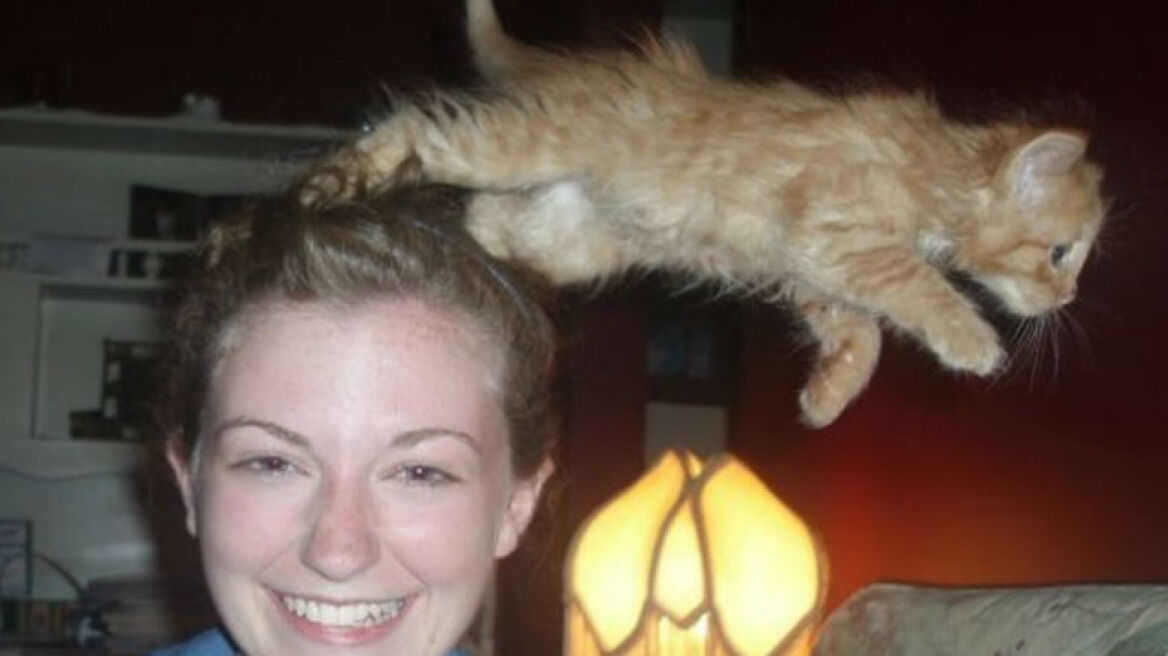 Γάτες και photobombing