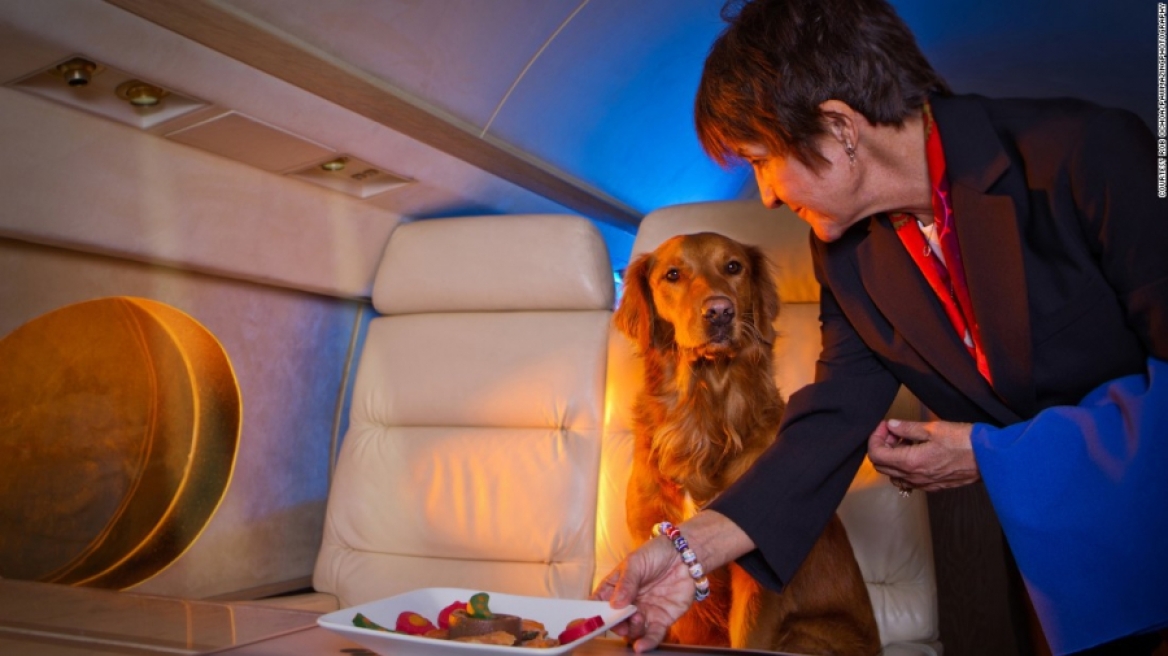Κατοικίδια σε ιδιωτικά jet με μασάζ και... γκουρμέ φαγητό!