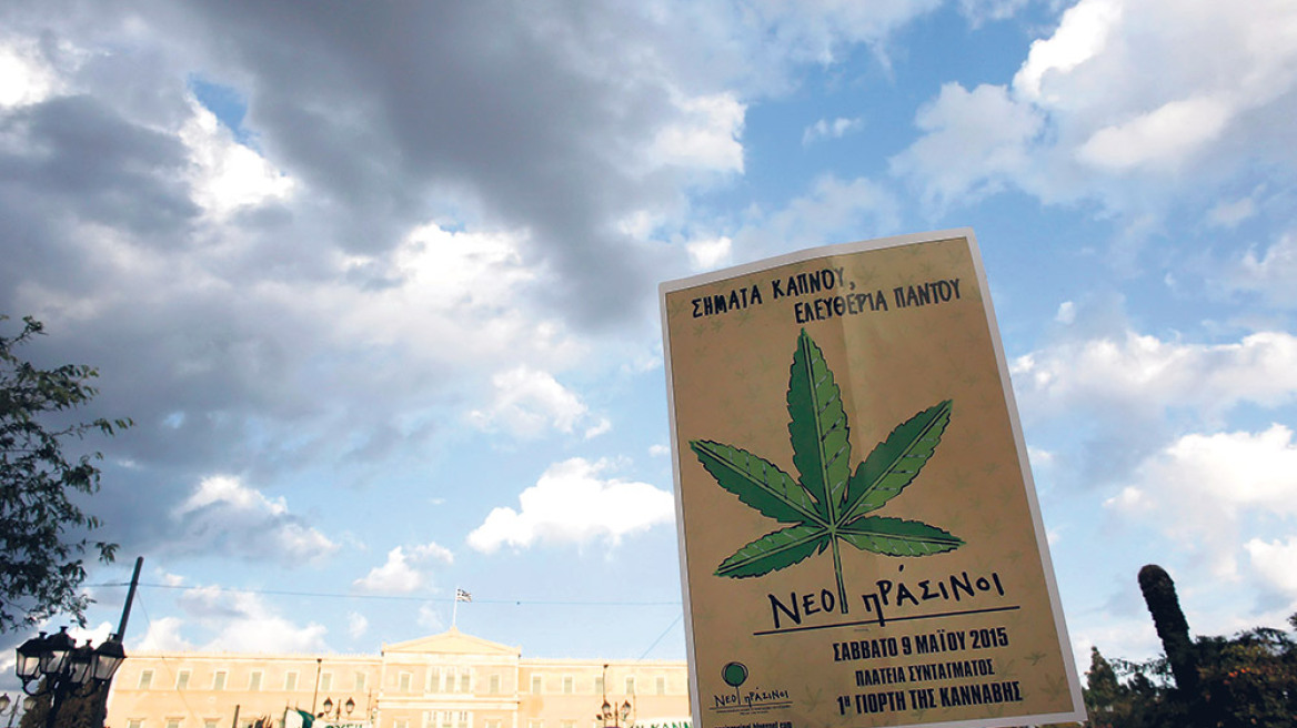Κάνουν και συνέδριο μετά τη γιορτή της Κάνναβης